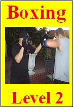 boxingl2.jpg