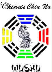 chinnalogo1.jpg