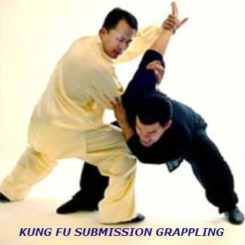 kungfusubmissiongrapplinglogo.jpg